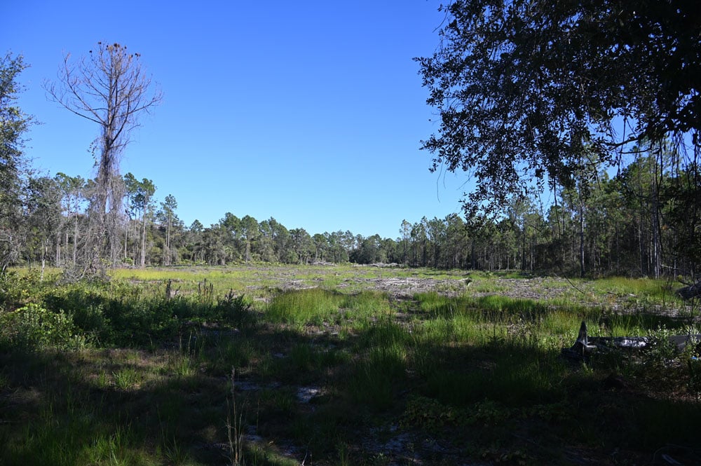 Still vacant: the land in Bunnell where the Florida State Guard was supposed to have a training facility by now. (© FlaglerLive)