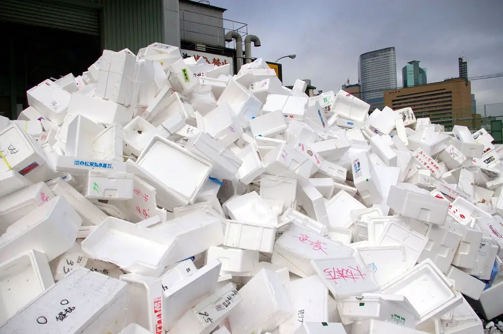 David Gilford's "Styrofoam Mountain": Florida takes a page from Tokyo. 