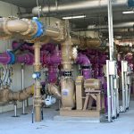 Flushing is only the beginning. (© FlaglerLive)