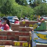 When Palm Coast organized its food drop in May, Florida was filling only 44 percent of unemployment benefit applications within three weeks, a rate half the required federal standard. In October, it was 57.7 percent, still 30 percent short of the federal standard. (© FlaglerLive)