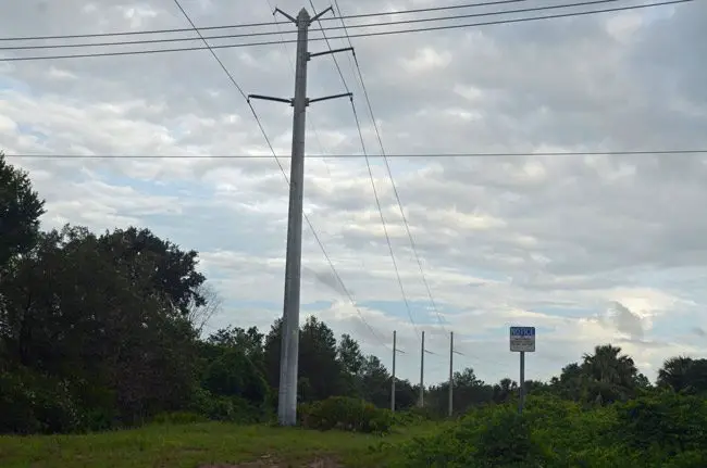 'I was scared walking the path,' says Palm Coast City Council member Heidi Shipley of the proposed foot path under FPL power lines, through the heart of the F Section, ending up at Matanzas High School. (© FlaglerLive)