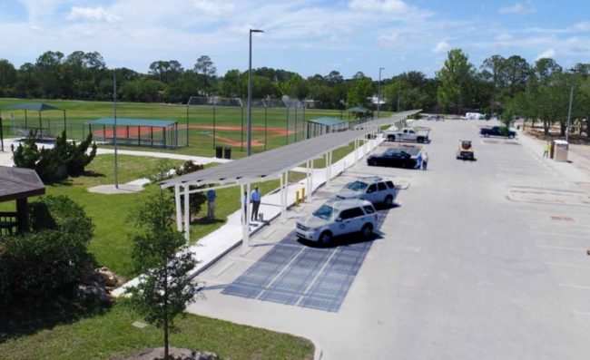 A solar canopy would be built at Holland Park, but at least one tree would have to be moved and no trees could interfere with the structure in the future. (FPL)