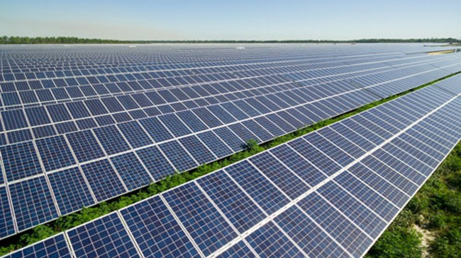 An FPL solar field. (FPL)