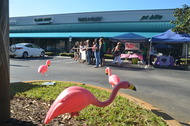 Future Problem Solvers get set to cut the ribbon on flocking season, a big fund-raiser for students hoping to get to international competition in June in Wisconsin. (© FlaglerLive)