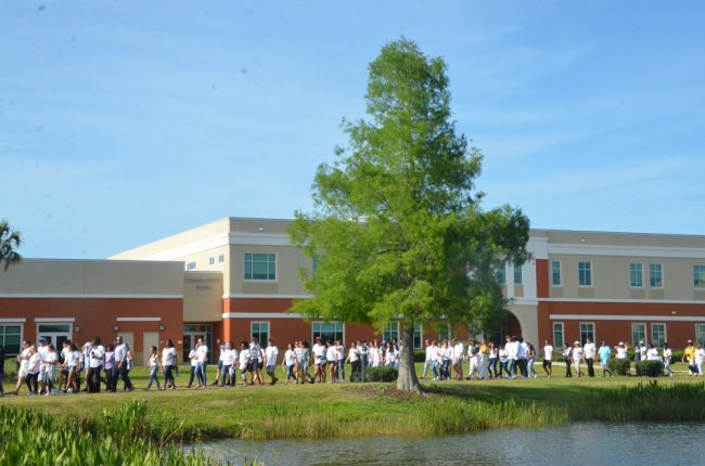 A fraction of the hundreds of people who took part in a walk against violence in memory of Curtis Gray this afternoon at Central Park in Palm Coast's Town Center. Click on the image for larger view. (© FlaglerLive)