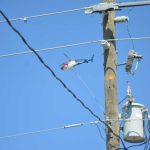 An electric franchise fee could increase power bills by up to 10 percent in Palm Coast, but would require voter approval first. (© FlaglerLive)