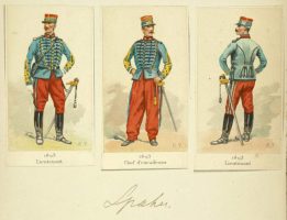 French colonial cops in all their gore. (NYPL Digital Collection)