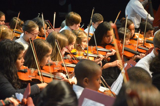 flagler youth orchestra