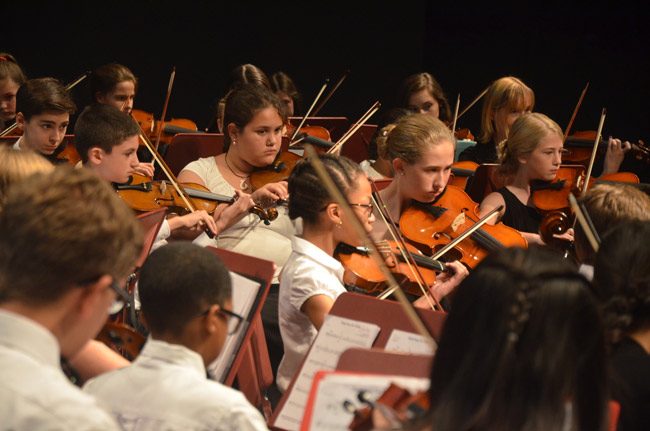 flagler youth orchestra