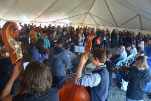 harmony chamber orchestra