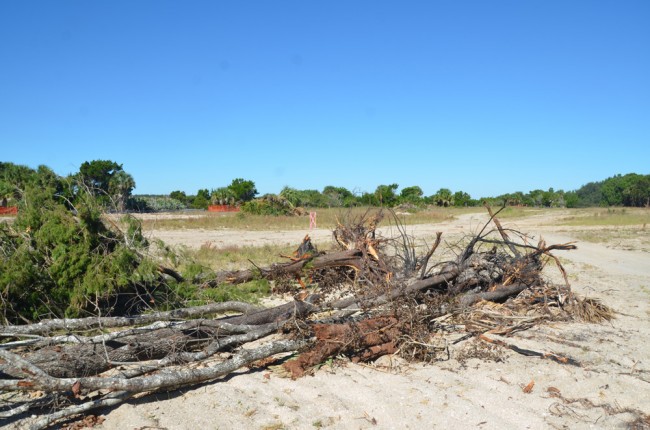 The campground's location, before it is developed. Click on the image for larger view. (© FlaglerLive)