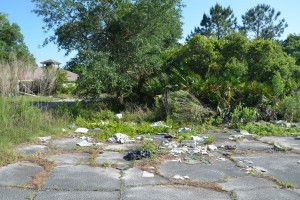 matanzas golf course garbage