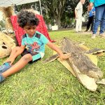 Qruz Jackson, grandson of Sonji Jackson, checks out a gator skin at the tent of Native American historian Jim Sawgrass. FlaglerLive photo