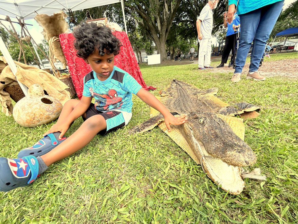Qruz Jackson, grandson of Sonji Jackson, checks out a gator skin at the tent of Native American historian Jim Sawgrass. FlaglerLive photo