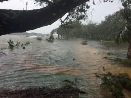 In Grand Haven, County Commissioner Dave Sullivan was reporting the Intracoastal waterway over its bank and flooding a section of the subdivision looking south from the back of 101 Front Street,  along now submerged walkway. (Dave Sullivan)