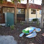 The Green Lion Cafe at Palm Harbor has been thriving for the past five years. It wants to stay there. The city wants it to stay there. But getting to a new lease agreement has been slower than a turtle's pace. (© FlaglerLive)