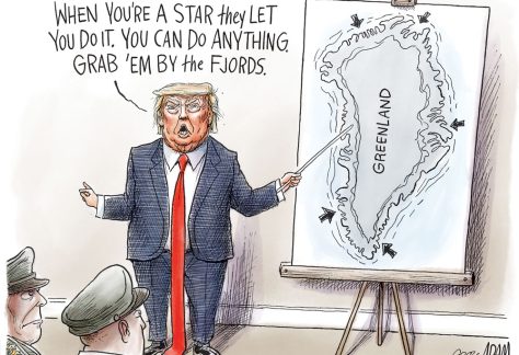 Power Grab by Adam Zyglis, The Buffalo News