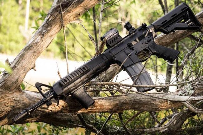 evers ar assault rifle