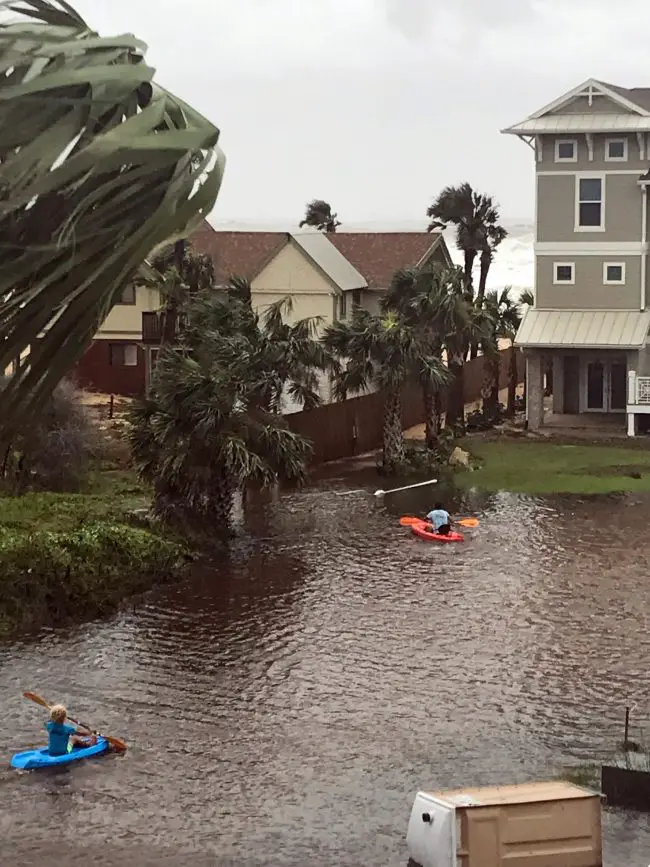 In the Hammock, the children were out, kayaking their streets. (c FlaglerLive)
