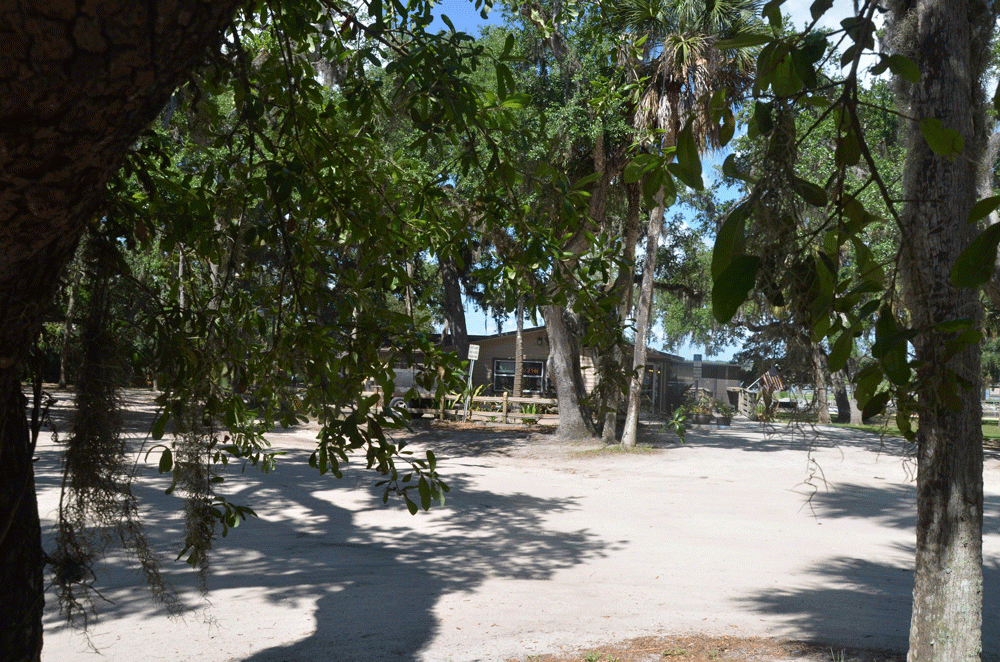 The Hammock owes much of its character to limited development, and lack of a sewer main has helped limit that development: it was instrumental in the county's decision to ultimately reject a plan by Captain's Barbecue at Bing's Landing to build a larger restaurant. (© FlaglerLive)