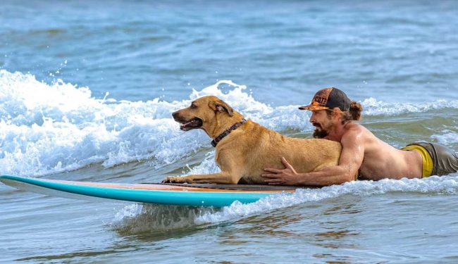 One of the larger dogs in a tandem heat at last year's Hang 8 competition., (Hang 8)