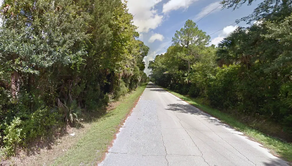 Floridalı bir adam yabani hindiyle karıştırıldı ve oğullarının gözü önünde vuruldu