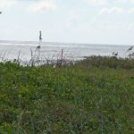 The last holdout: the small parcel above is one of two "remnants" on the east side of State Road A1A that still requires its owner to sign an easement so the U.S. Army Corps of Engineers can rebuild it into a more substantial dune than the eroded remains standing there now. (© FlaglerLive)