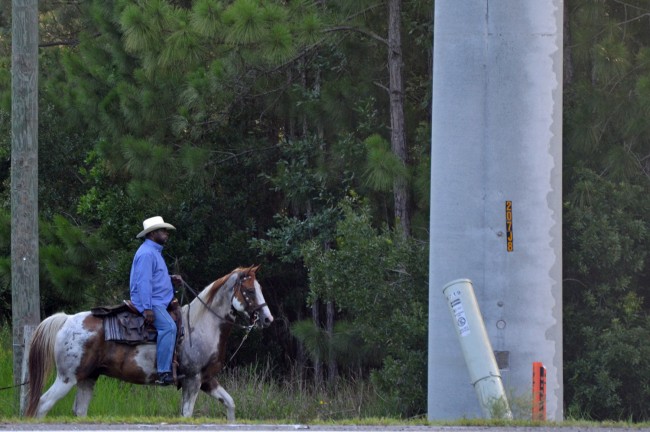 A horseman rode by the scene as investigators worked it. If anyone can identify him, we'd appreciate it. Click on the image for larger view. (© FlaglerLive)