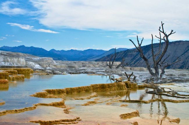 Mammoth Hot Springs at Yellowstone. (Trevor Vannoy on Unsplash)