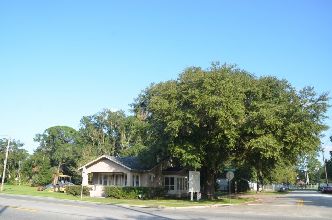 The tree at the corner is believed to be over 100 years old. Click on the image for larger view. (© FlaglerLive)