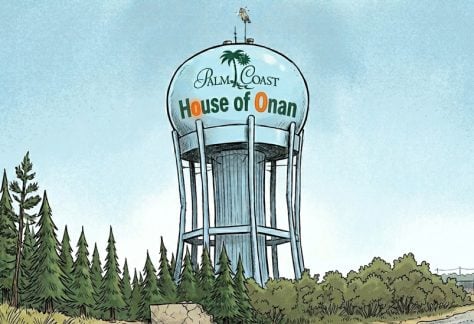 palm coast house of onan
