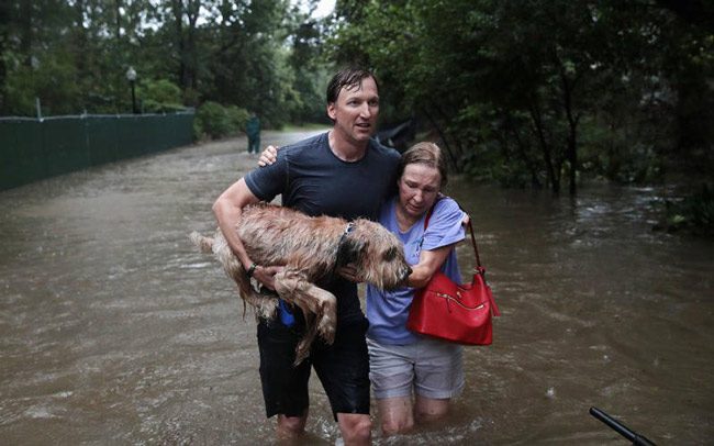 houston emergency