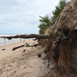 A severely eroded beach in Flagler County after Hurricane Ian in 2022. A beach management plan for the county's beaches is going sideways. (© FlaglerLive)