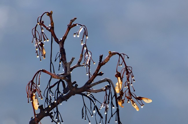 The region went through its coldest spell of the year. (Costel Slincu)