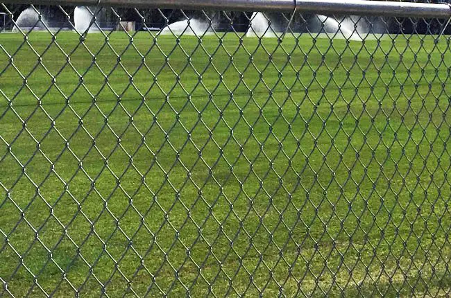 Fences are coming down between Palm Coast and county fields. Above, watering the fields at the Indian Trails Sports Complex. (© FlaglerLive)
