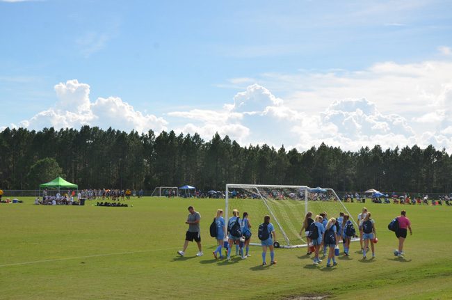 The Indian Trails Sports Complex's 10 multi-purpose fields, often used for soccer or lacrosse, would be reduced to eight, with two fields being converted to baseball and softball use to accommodate Palm Coast Little League according to a plan put forth by the city's Parks and Recreation Department. (© FlaglerLive)