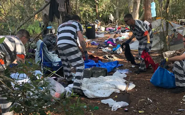 Flagler County jail inmates at work cleaning up the homeless camp near the public library in Palm Coast. (FCSO)