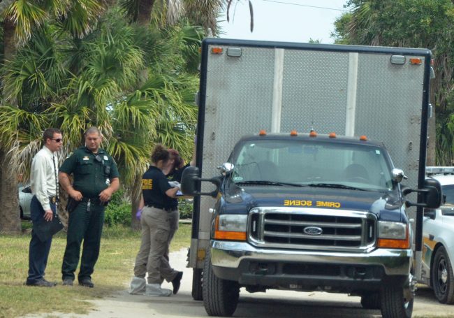 south daytona avenue murder scene