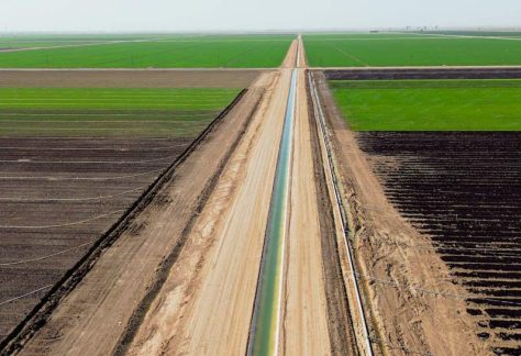 An irrigation canal moves Colorado River water through farm fields in California’s Imperial Valley.