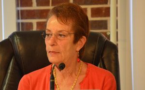 flagler beach city commission jane mealy
