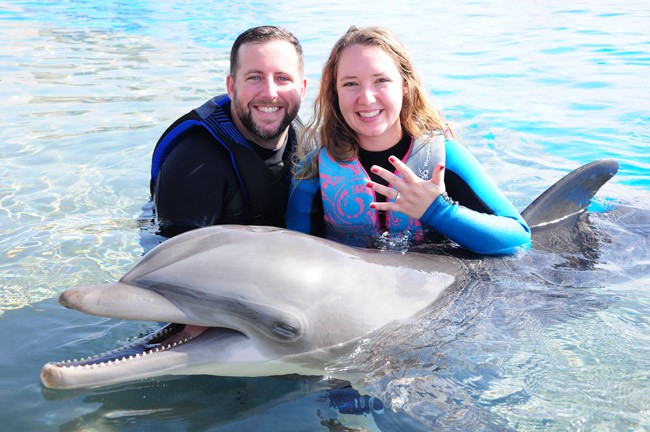 marineland engagement michelle tipton andy johnson