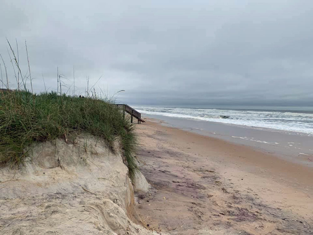 In the Jungle Hut Park area at the north end of the county. (Flagler County Assist)