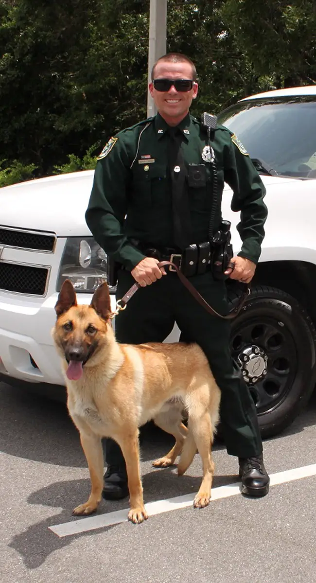 Deputy Jonathon Duenas with Valor, the Sheriff's Office's newest K-9. (FCSO)