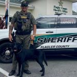 Flalger County Sheriff's deputy Nicholas Champion and his yet-to-be-named K9 partner. (FCSO