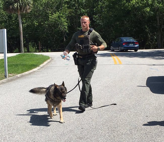 K-9 units are involved in the manhunt. (FCSO)