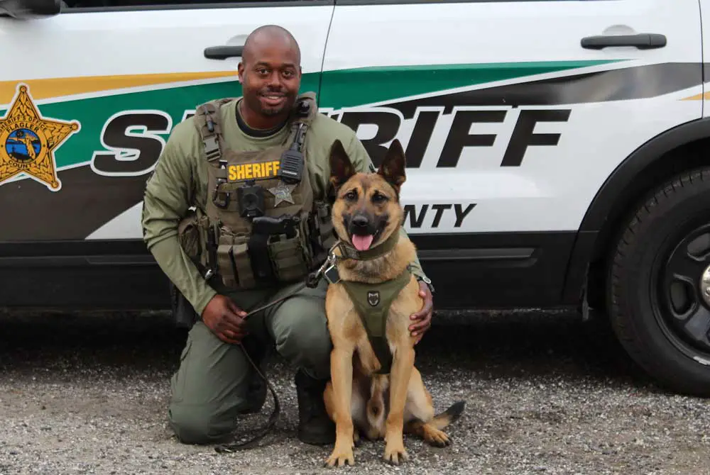Deputy Robin Towns and K-9 Keanu in February 2021,m when both had completed rigorous training as a K-9 unit. (FCSO)
