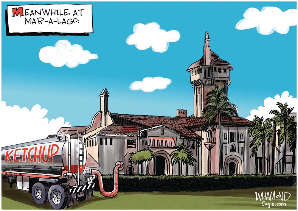 Meanwhile at Mar-a-lago... by Dave Whamond, Canada, PoliticalCartoons.com