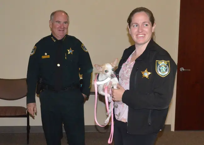 Sheriff Rick Staly with Detective Fiona Ebrill, who is assigned exclusively to domestic violence cases, with a new arrival at the Sheriff's Office--Khaleesi, a therapy dog that helps victims of domestic violence. (© FlaglerLive)