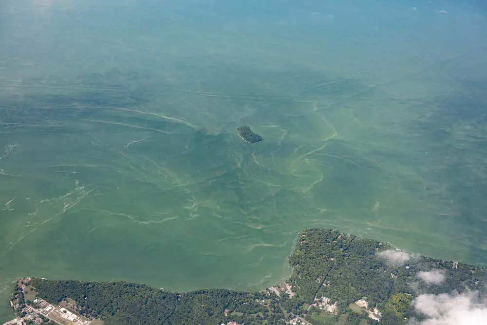 Blue-green algae is not always visible but can be harmful to humans and animals. Above, a blue-green algae bloom at Lake Erie. (NOAA)