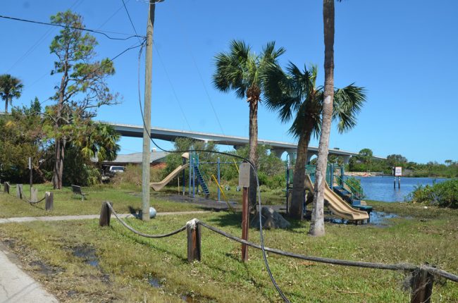 Downed lines Wednesday afternoon off Lambert Avenue in Flagler Beach. (c FlaglerLive)